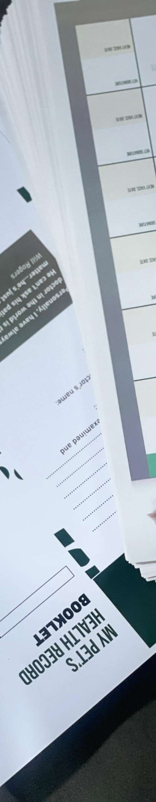 Bifold Brochure (A4)